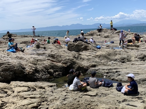 江ノ島散策 2019年6月_b0330040_11433878.jpeg