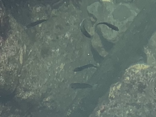 b0330040_11574656.jpeg