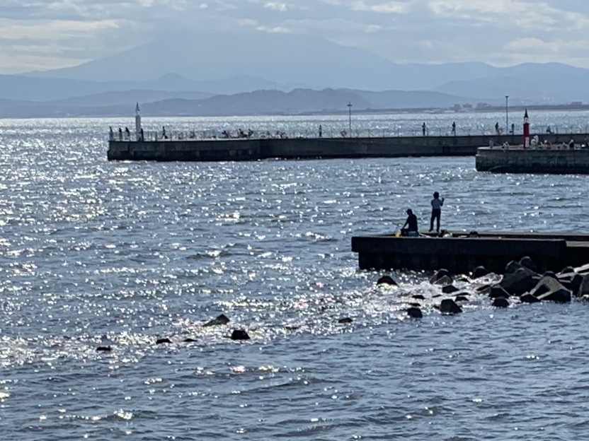 b0330040_12275340.jpeg