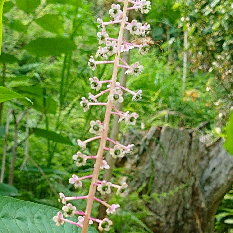 e0145441_23171521.jpg