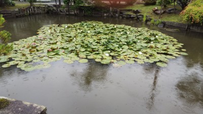 190619 無事でした!_f0164842_18101983.jpg