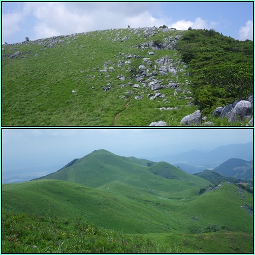e0164643_15475629.jpg
