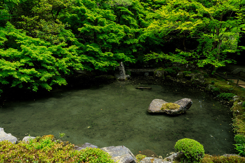 新緑の蓮華寺_f0155048_2340592.jpg