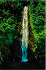 c0142549_07595401.png
