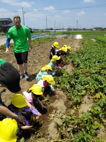 Potato Picking! お芋ほり!_e0351952_12290090.jpg