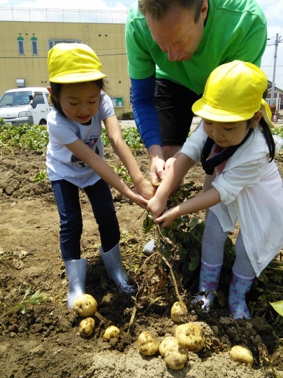 Potato Picking! お芋ほり!_e0351952_12310835.jpg