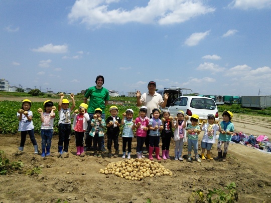 Potato Picking! お芋ほり!_e0351952_12382477.jpg