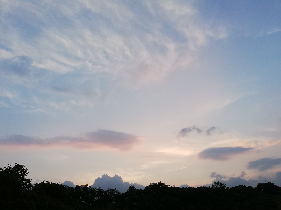 b0319255_23311146.jpg