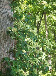 e0004756_20120900.jpg