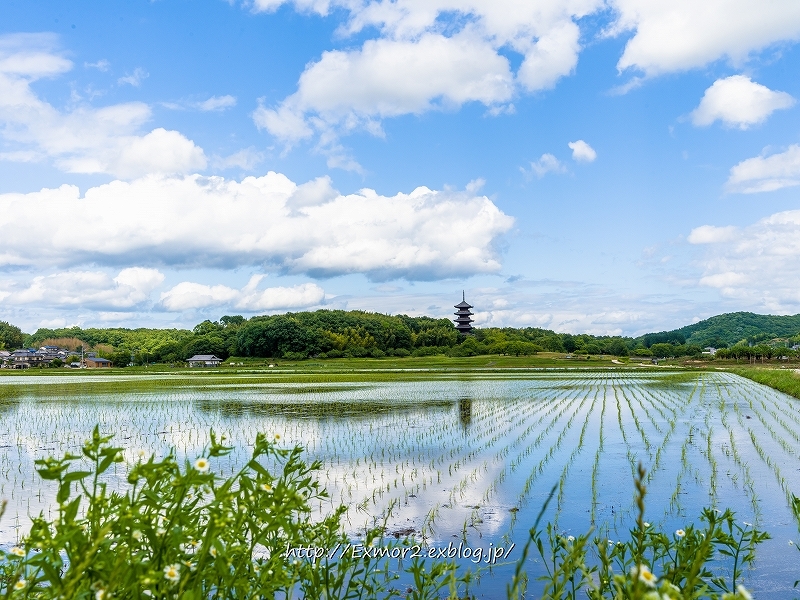 備中国分寺　空がきれい_f0368258_20401865.jpg