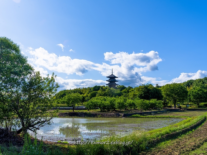 備中国分寺　空がきれい_f0368258_20421546.jpg