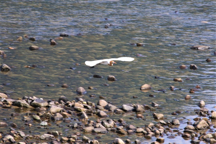 f0106759_621783.jpg