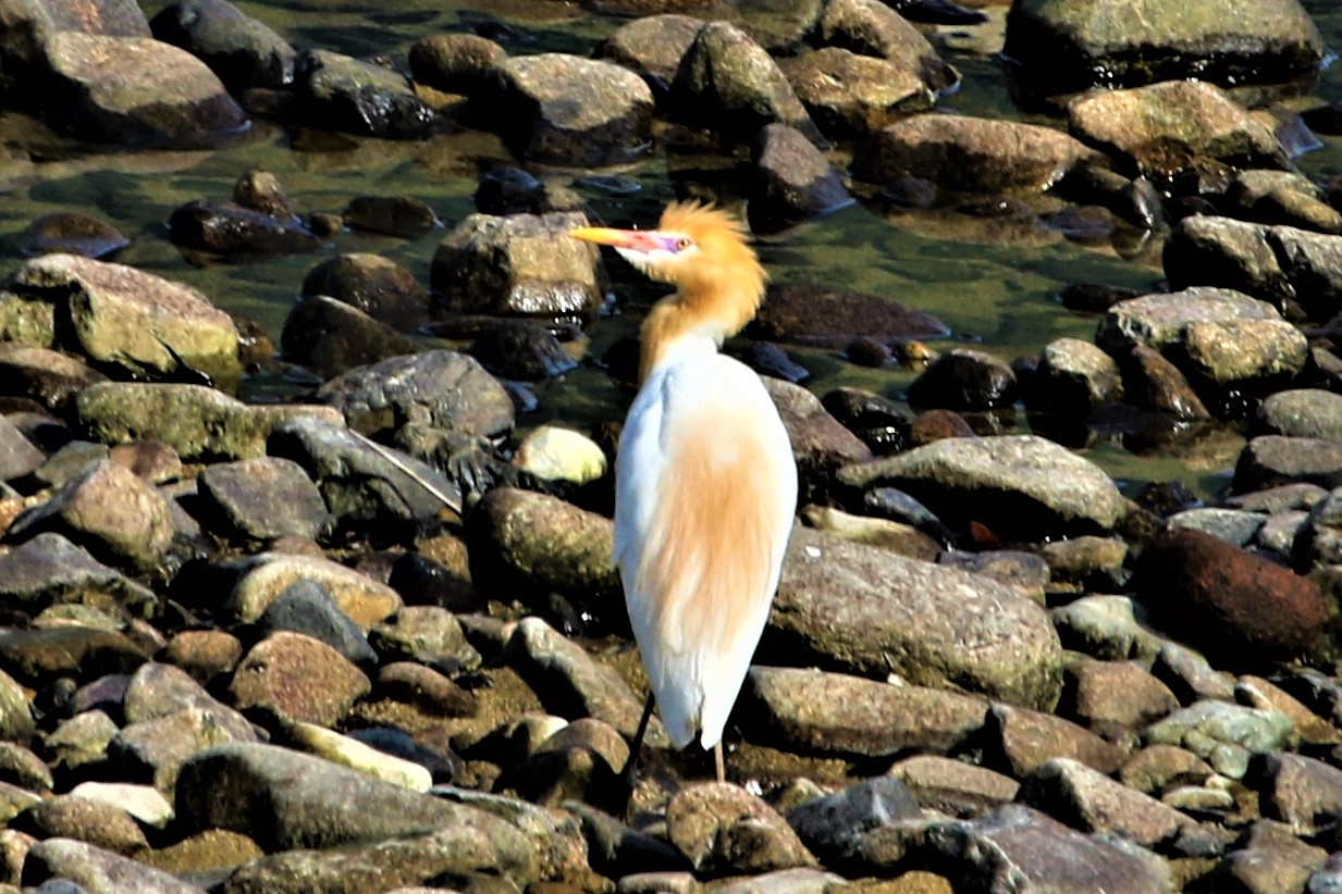 f0106759_635351.jpg