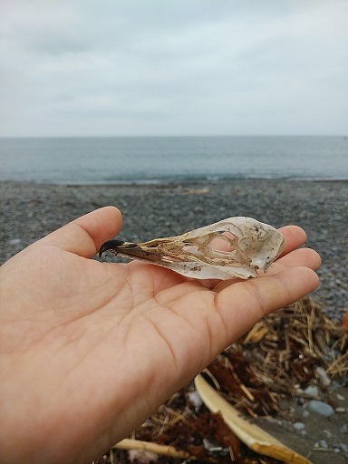 c0172261_15521489.jpg