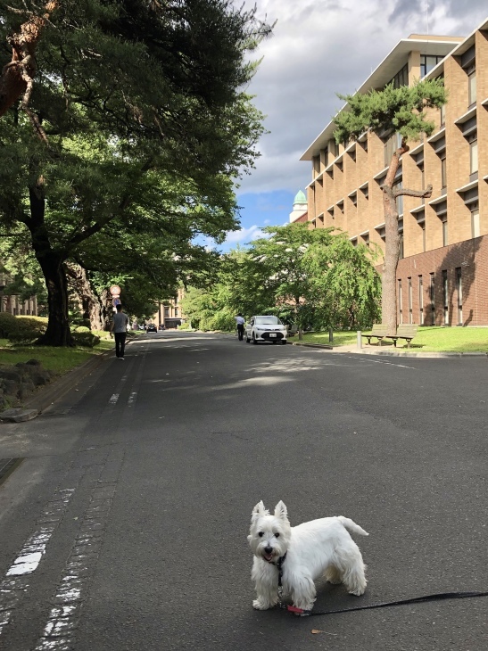 f0363961_08182779.jpeg