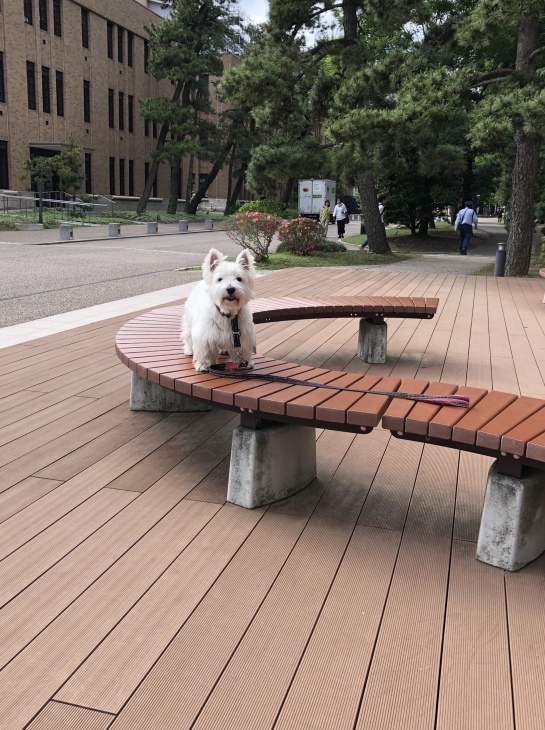 f0363961_08191680.jpeg