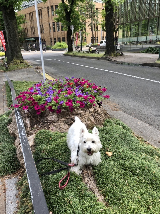 f0363961_08200080.jpeg