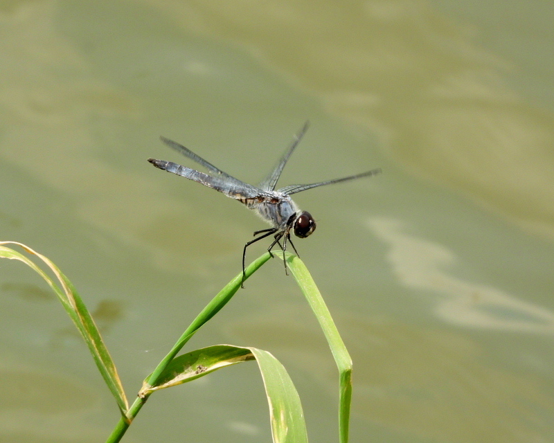 c0305565_17451750.jpg