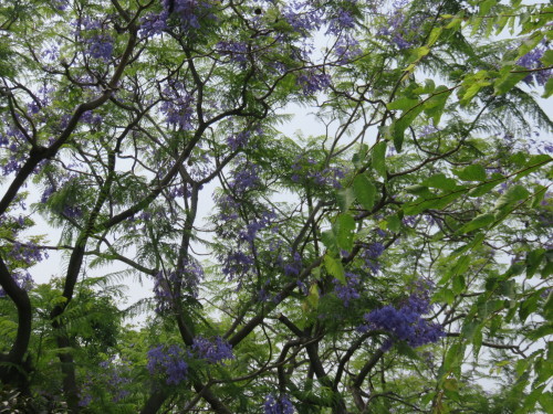 f0259373_14470709.jpg