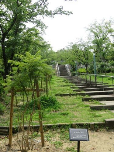 f0259373_14550141.jpg