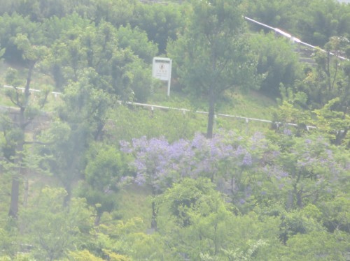 f0259373_14564926.jpg