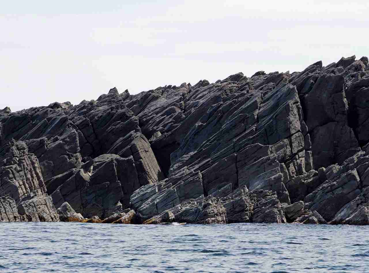 c0183777_8463779.jpg