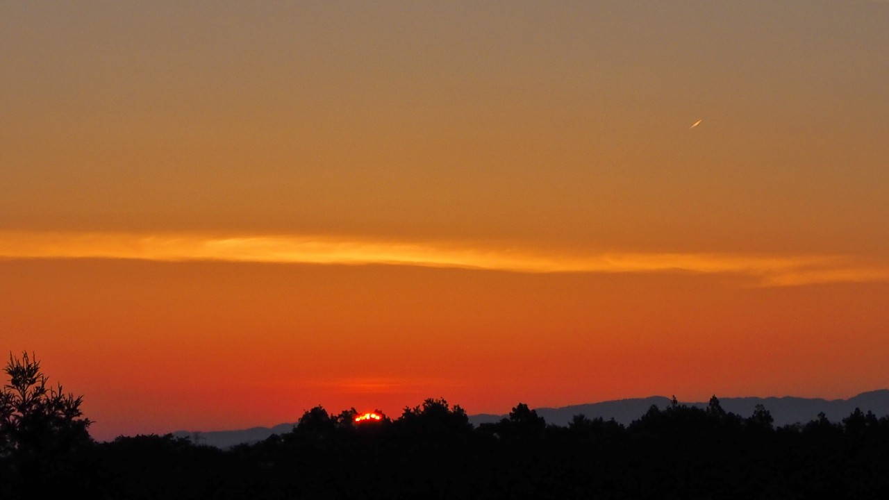 c0183777_857016.jpg