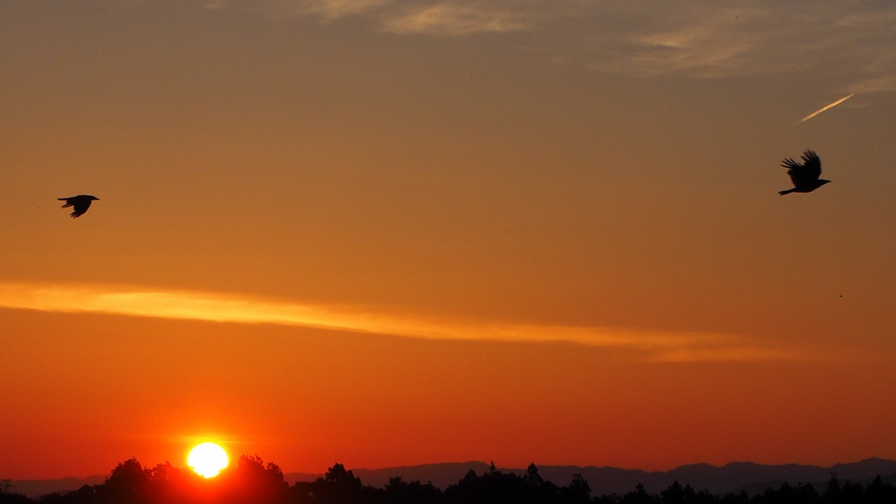 c0183777_8574315.jpg