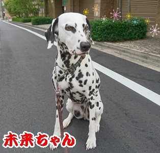 お散歩♪_f0357682_12195244.jpg