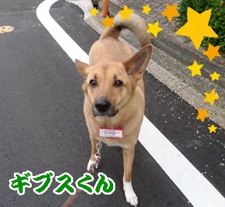 お散歩♪_f0357682_12200070.jpg