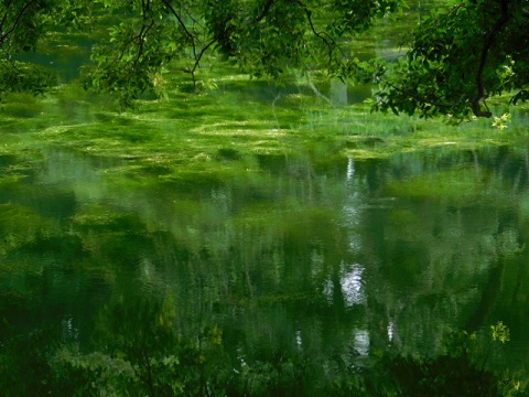 c0084183_10315396.jpg