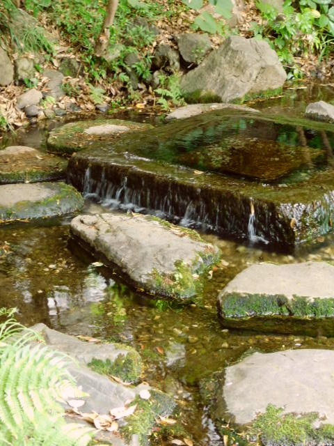 c0084183_10371925.jpg
