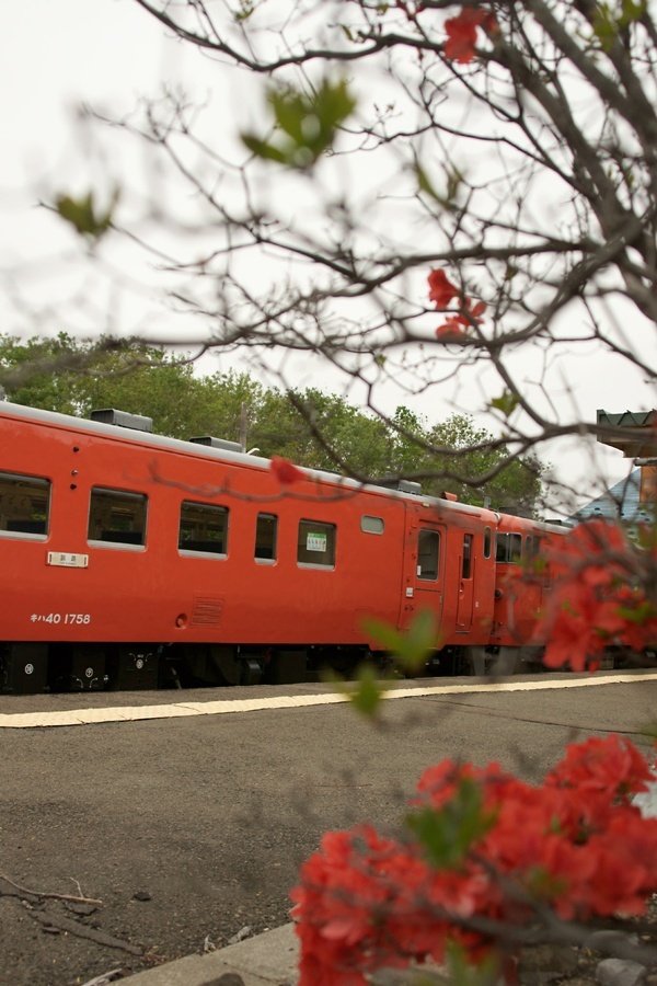 f0242684_20551072.jpg