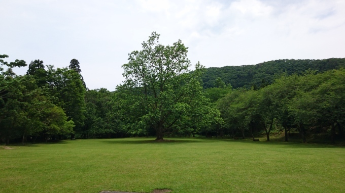 a0116885_00333465.jpg