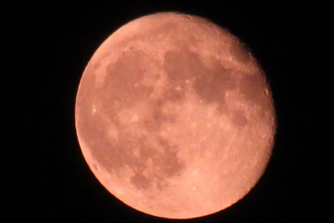 d0183387_22474212.jpg