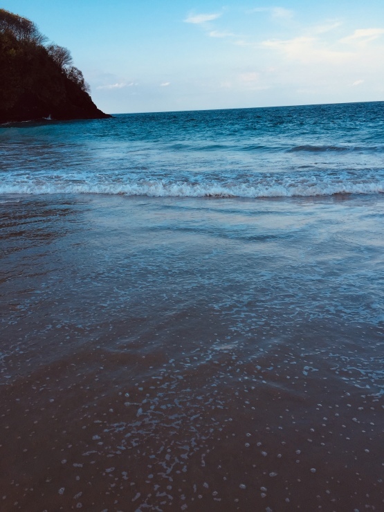 b0161391_15293708.jpeg