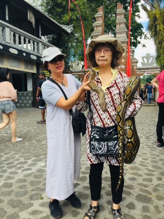 b0161391_15304824.jpeg