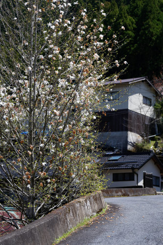 e0366896_23035111.jpg