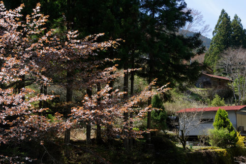 e0366896_23043115.jpg