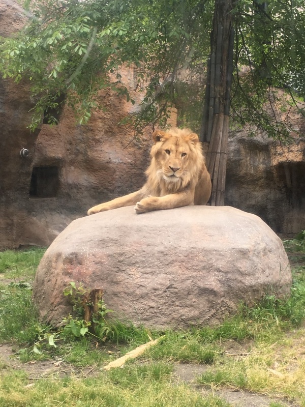 旭山動物園と富良野美瑛_d0107097_19595535.jpeg