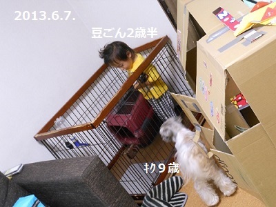 f0372998_13470799.jpg