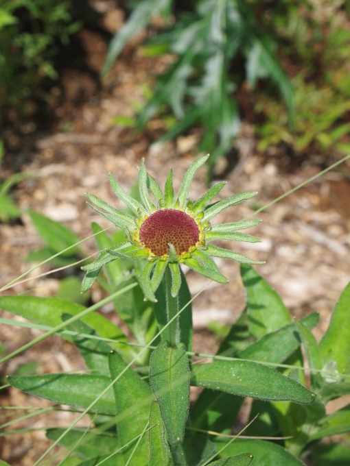 八ヶ岳に遊びに行こう･････その１_b0331802_23481092.jpg