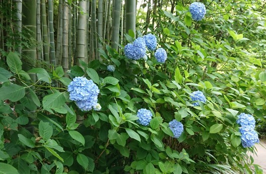 f0329602_20104589.jpg