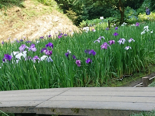 f0329602_20115439.jpg