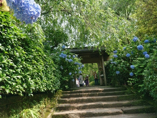 f0329602_20121759.jpg