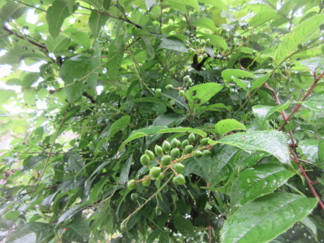 a0203003_20311331.jpg