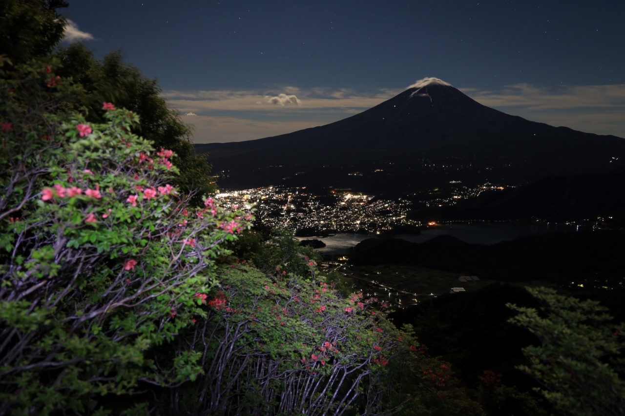 新道峠の山つつじ_a0188405_00262635.jpg