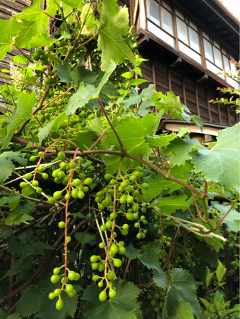 看板お届けの旅_c0176406_03321079.jpg