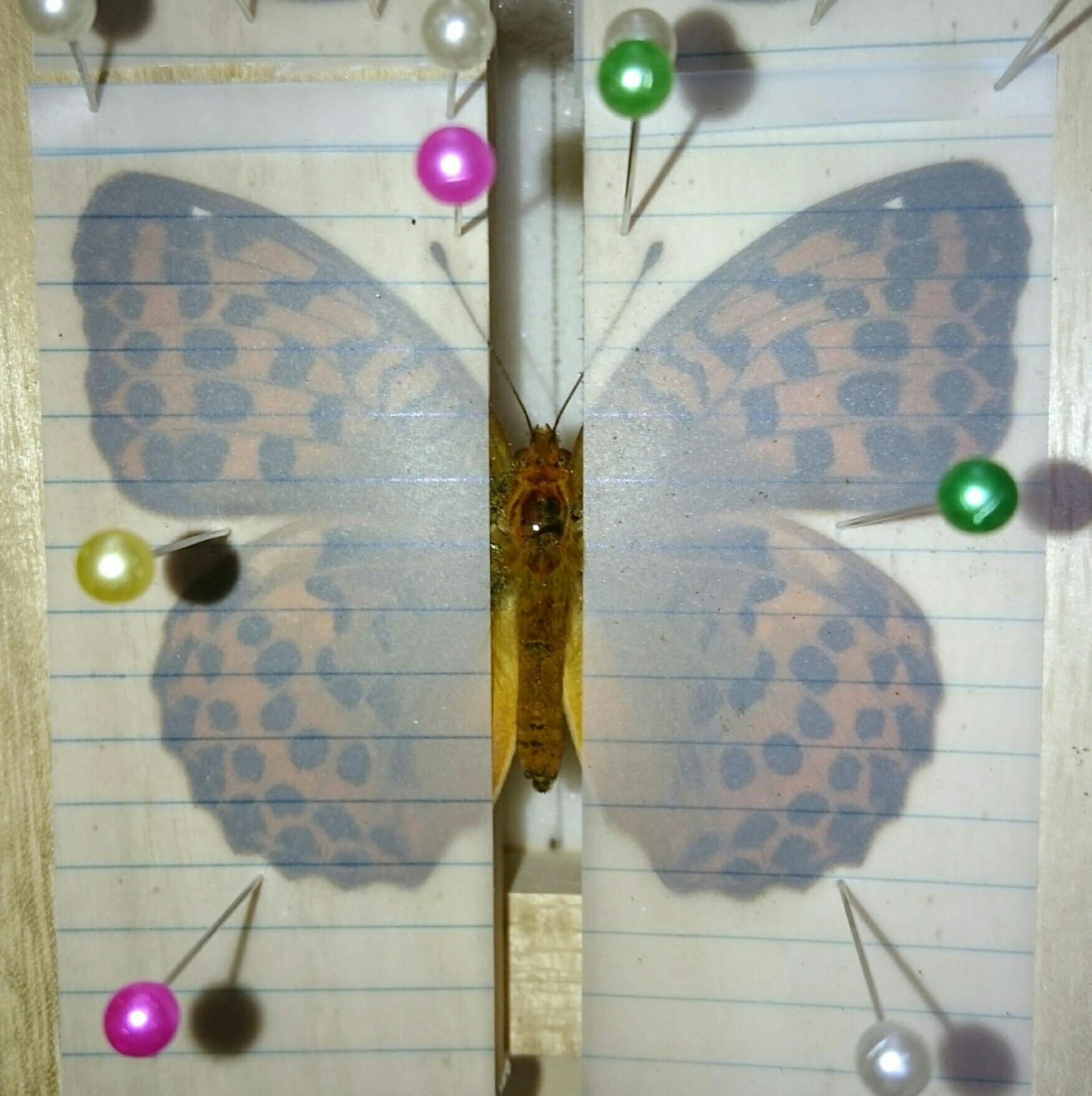 a0361610_19401516.jpg