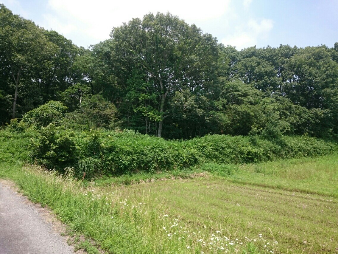 a0361610_19431857.jpg